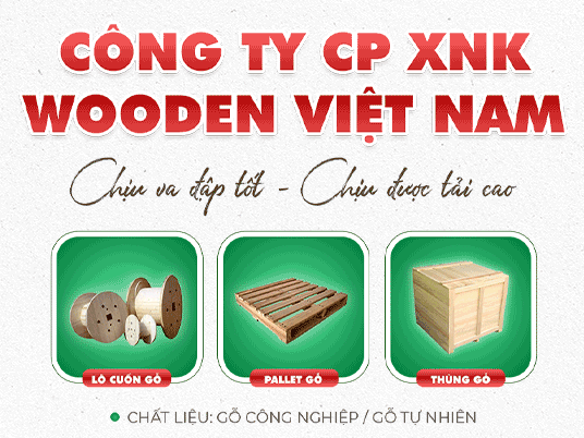 CÔNG TY CP XNK WOODEN VIỆT NAM